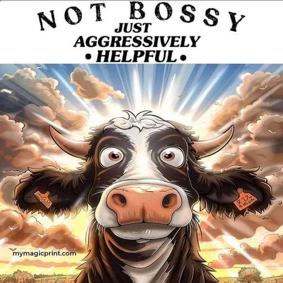 Meet your Posher, Nina - Picture 2 of 4